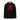 Clinton Classic Logo Hooded Sweatshirt